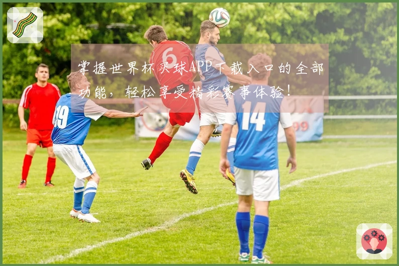 掌握世界杯买球APP下载入口的全部功能，轻松享受精彩赛事体验！